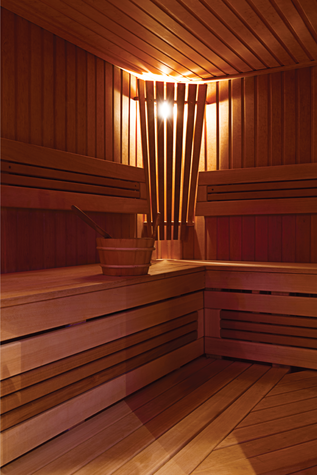 sauna-interior-vertical.jpg